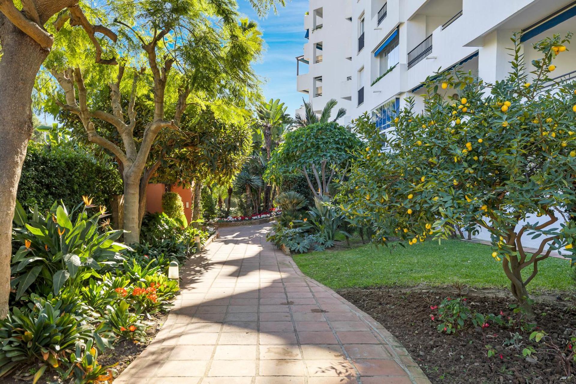 Lejlighed 1 Bedroom Apartment, With Sea Views, In Medina Garden - Puerto Banus